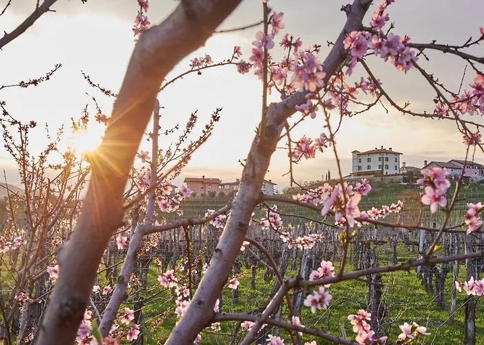 Gredic Heritage Residences فندق